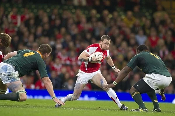 Shane Williams takes on South Africa in 2010