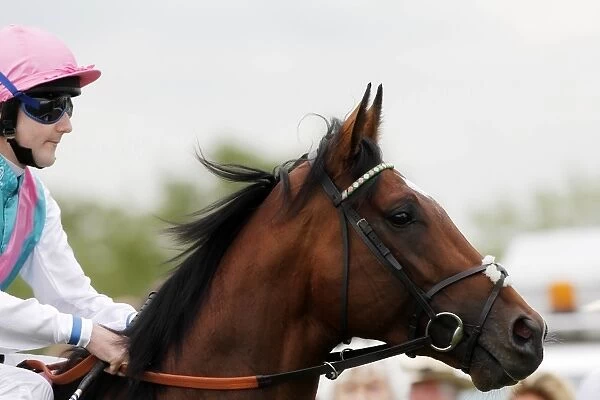 Tom Queally & Frankel - 2011 Sussex Stakes