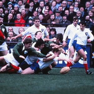 5N 1981: Ireland 13 France 19