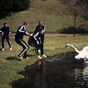 Bayern Munich players are attacked by an angry Swan before the 1967 Cup Winners Cup semi-final +