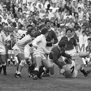 England and South Africa clash at Ellis Park in 1984
