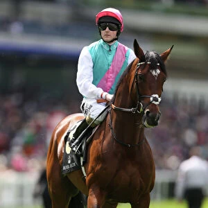 Horse Racing Jigsaw Puzzle Collection: Royal Ascot 2012