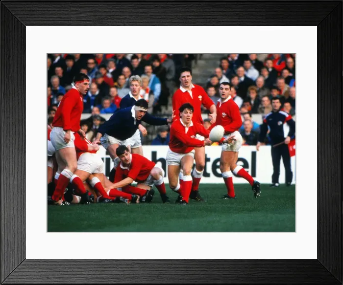 Framed Print : 5N 1989: Scotland 23 Wales 7 Framed Print : 5N 1989: Scotland 23 Wales 7
