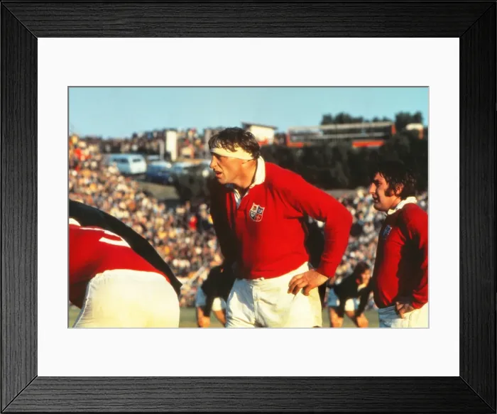 Framed Print : 3rd Test: SA 9 Lions 26 Framed Print : 3rd Test: SA 9 Lions 26