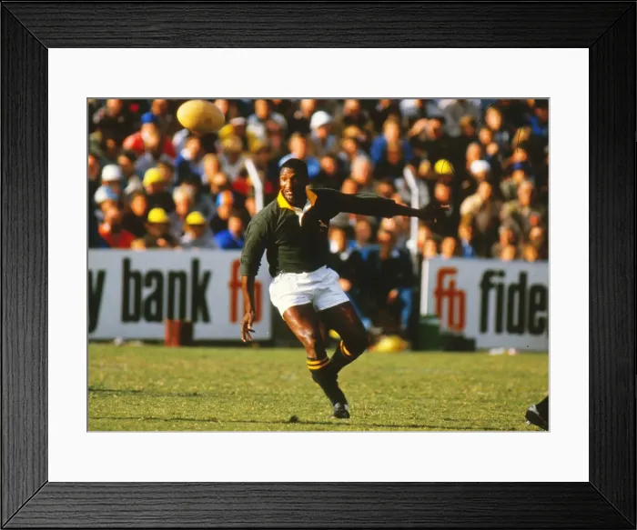 Framed Print : 1st Test: SA 33 England 15