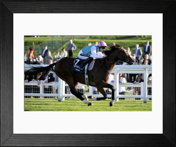 Framed Print : Frankel - 2011 Queen Elizabeth II Stakes