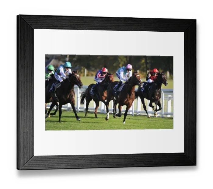 Framed Print : Frankel & Bullet Train - 2011 Queen Elizabeth II Stakes Framed Print : Frankel & Bullet Train - 2011 Queen Elizabeth II Stakes