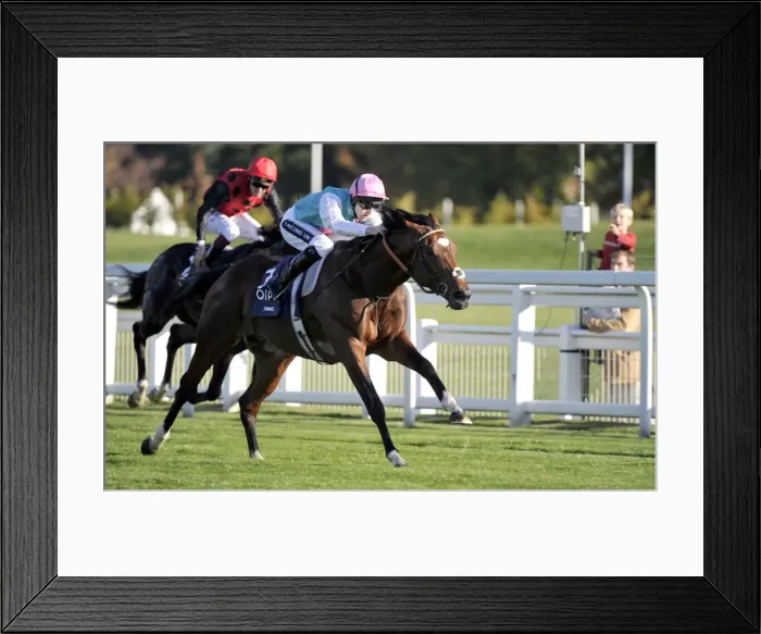 Framed Print : Frankel - 2011 Queen Elizabeth II Stakes