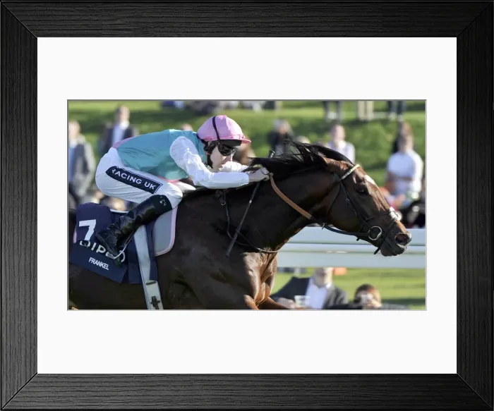 Framed Print : Frankel - 2011 Queen Elizabeth II Stakes Framed Print : Frankel - 2011 Queen Elizabeth II Stakes