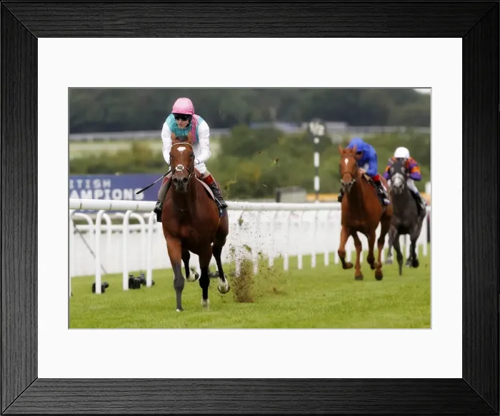 Framed Print : Frankel - 2011 Sussex Stakes Framed Print : Frankel - 2011 Sussex Stakes