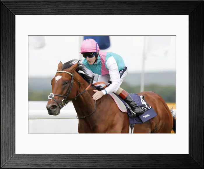 Framed Print : Frankel - 2011 Sussex Stakes Framed Print : Frankel - 2011 Sussex Stakes