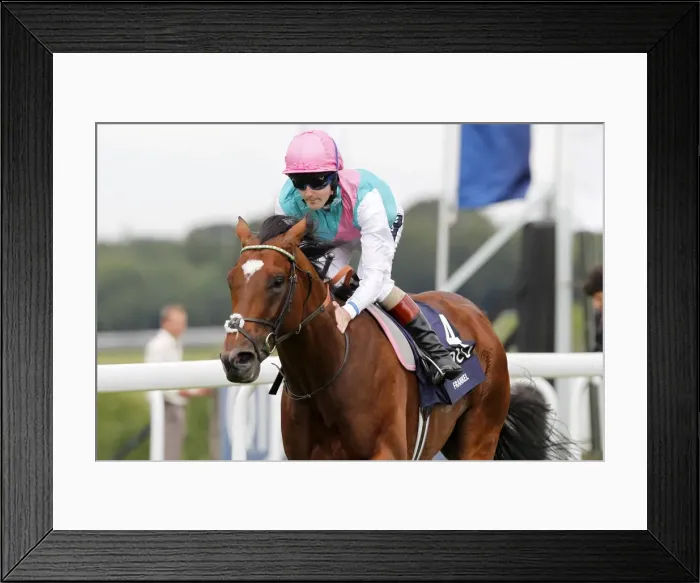 Framed Print : Frankel - 2011 Sussex Stakes Framed Print : Frankel - 2011 Sussex Stakes