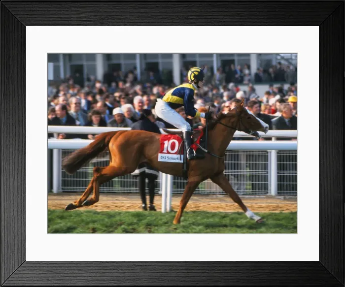 Framed Print : Cheltenham Festival - The Champion Hurdle Framed Print : Cheltenham Festival - The Champion Hurdle