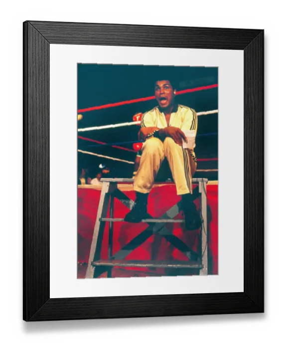 Framed Print : Spinks-Ali II - training session Framed Print : Spinks-Ali II - training session