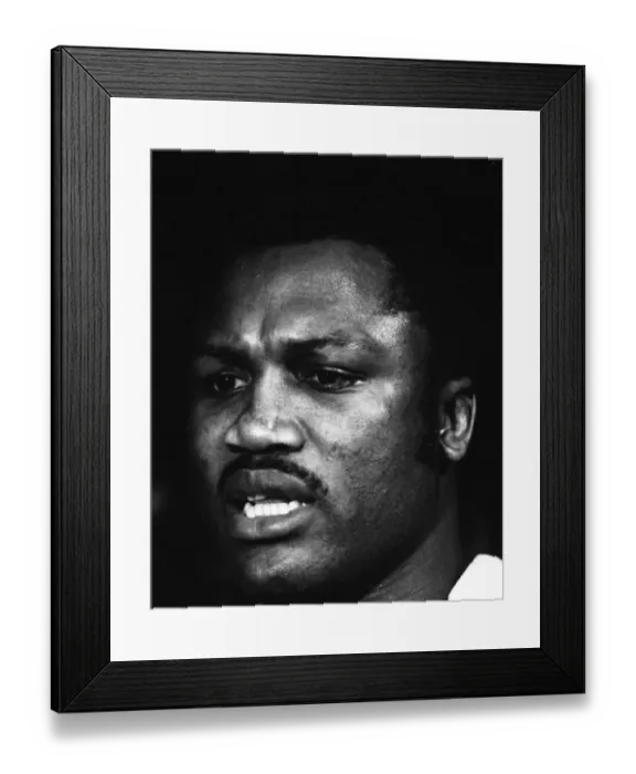 Framed Print : Spinks-Ali II - training session Framed Print : Spinks-Ali II - training session