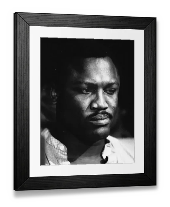 Framed Print : Spinks-Ali II - training session Framed Print : Spinks-Ali II - training session
