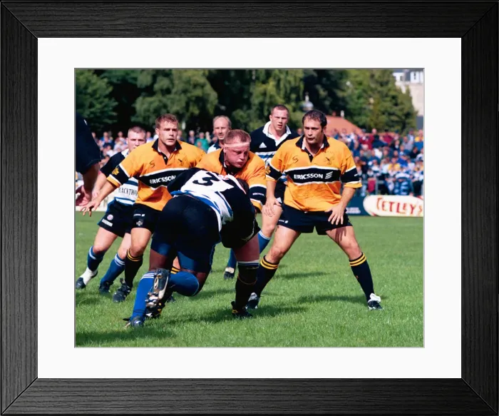 Framed Print : Bath Wasps Framed Print : Bath Wasps
