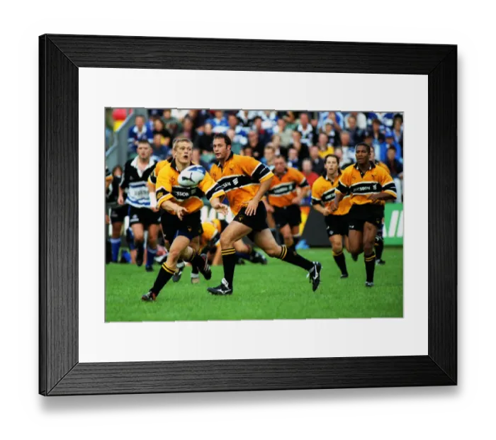 Framed Print : Bath Wasps Framed Print : Bath Wasps