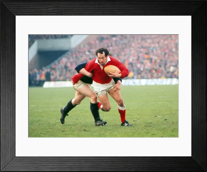 Framed Print : Gareth Edwards takes on Scotland - 1977 Five Nations (landscape) Framed Print : Gareth Edwards takes on Scotland - 1977 Five Nations (landscape)