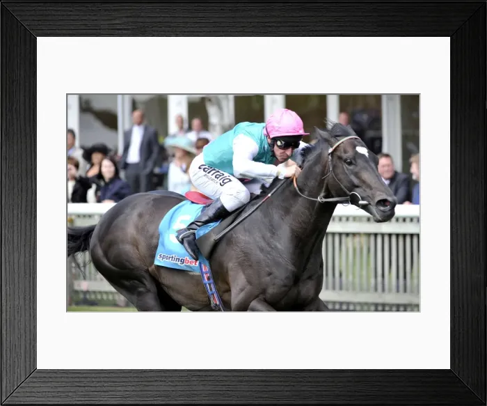 Framed Print : Horse Racing - Newmarket Races - July Cup Meeting. Redwood ridden by Michael Hills Framed Print : Horse Racing - Newmarket Races - July Cup Meeting. Redwood ridden by Michael Hills