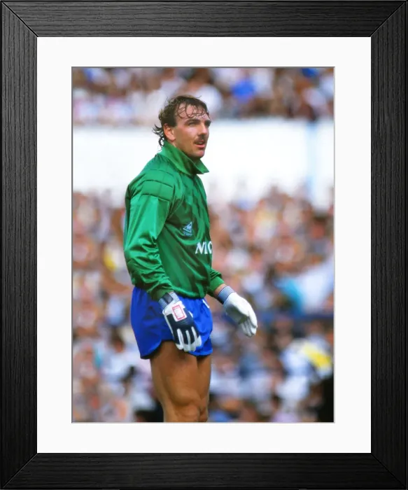 Framed Print : Neville Southall Framed Print : Neville Southall