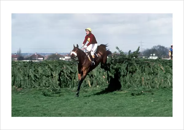 Red Rum clears the last on the way to winning the 1977 Grand National