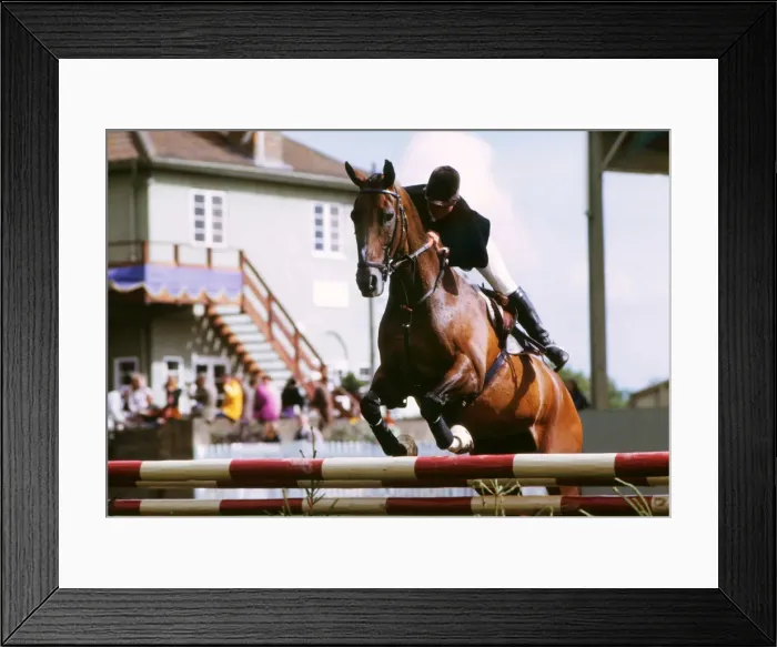 Framed Print : Ann Moore on Psalm Framed Print : Ann Moore on Psalm