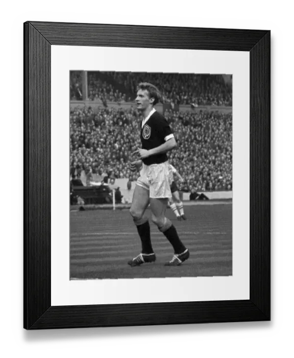 Framed Print : Denis Law - Scotland, 1961 Framed Print : Denis Law - Scotland, 1961