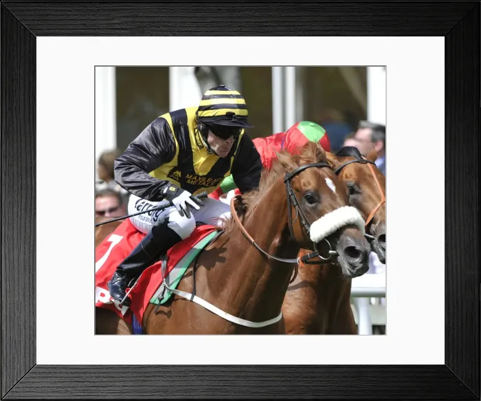 Framed Print : Horse Racing - Newmarket Races - July Cup Meeting Framed Print : Horse Racing - Newmarket Races - July Cup Meeting
