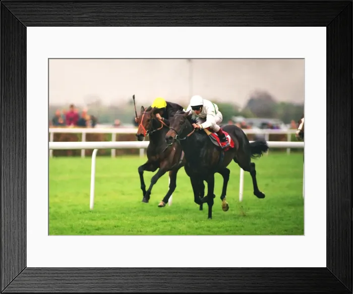 Framed Print : Presenting, ridden by Frankie Dettori, wins the 1995 Durante Conditions Framed Print : Presenting, ridden by Frankie Dettori, wins the 1995 Durante Conditions