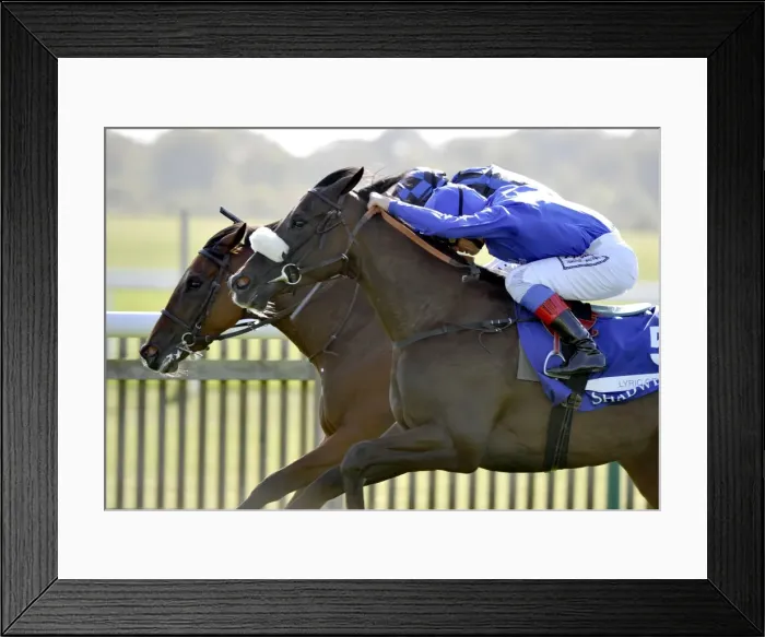Framed Print : Frankie Dettori just gets the better of Jamie Spencer to win the 2011 Shadwell Fillies Mile Framed Print : Frankie Dettori just gets the better of Jamie Spencer to win the 2011 Shadwell Fillies Mile