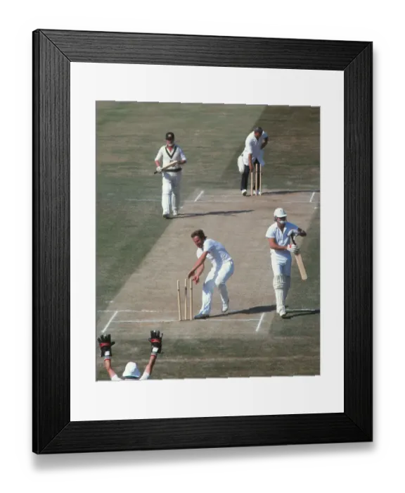 Framed Print : Ian Botham grabs the stumps after winning the 4th Test of the 1981 Ashes Framed Print : Ian Botham grabs the stumps after winning the 4th Test of the 1981 Ashes