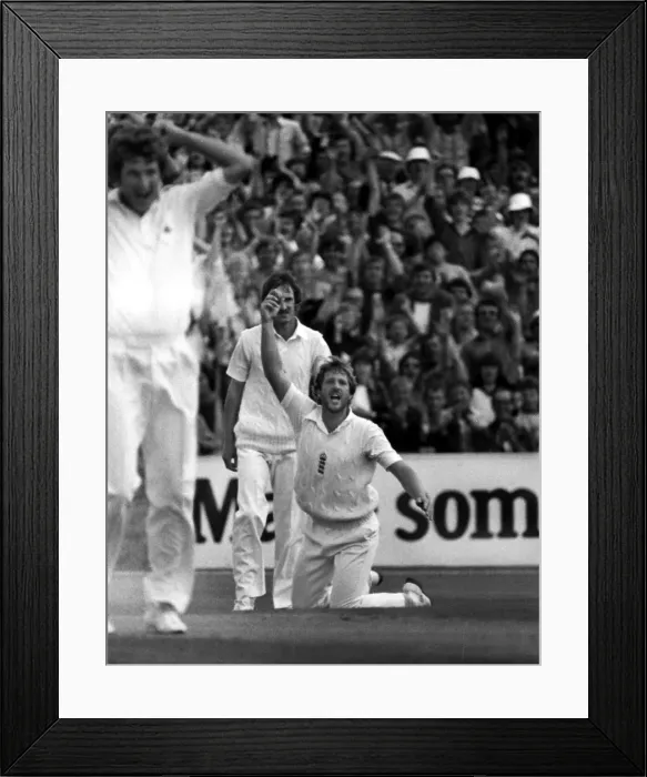 Framed Print : Ian Botham takes a catch during the 1981 Ashes Framed Print : Ian Botham takes a catch during the 1981 Ashes