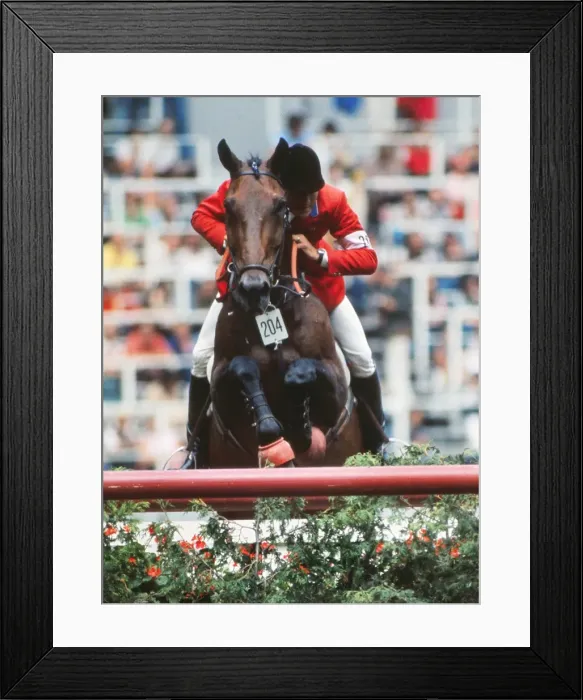 Framed Print : Michael Matz on Grande - 1976 Montreal Olympics Framed Print : Michael Matz on Grande - 1976 Montreal Olympics