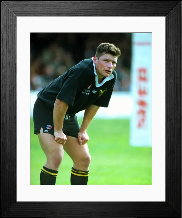 Framed Print : Steve Pilgrim - Wasps Framed Print : Steve Pilgrim - Wasps