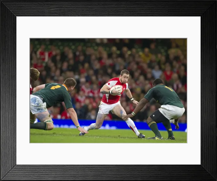 Framed Print : Shane Williams takes on South Africa in 2010 Framed Print : Shane Williams takes on South Africa in 2010