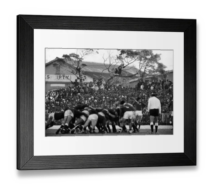 Framed Print : Fans in the trees in East London watch the British Lions in 1974 Framed Print : Fans in the trees in East London watch the British Lions in 1974