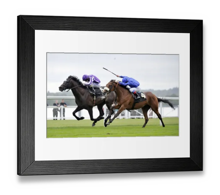 Framed Print : Frankie Dettori on Rewilding wins the The Prince of Wales Stakes Framed Print : Frankie Dettori on Rewilding wins the The Prince of Wales Stakes