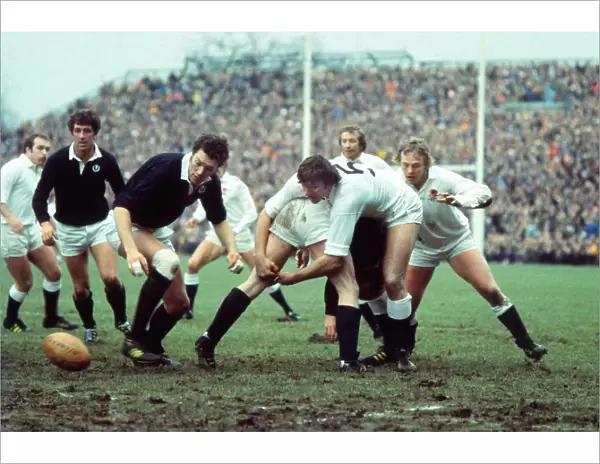 England and Scotland clash - 1977 Five Nations