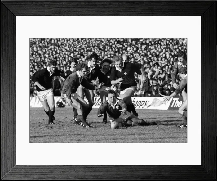 Framed Print : Ireland face Scotland in the 1979 Five Nations Framed Print : Ireland face Scotland in the 1979 Five Nations