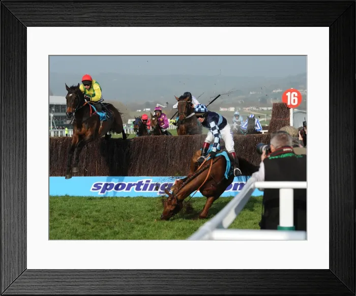 Framed Print : Cheltenham Festival: Day Two