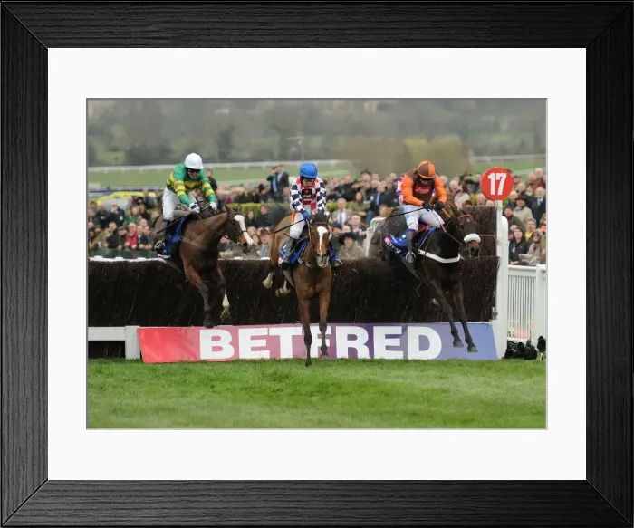 Framed Print : Cheltenham Festival: Day Four Framed Print : Cheltenham Festival: Day Four