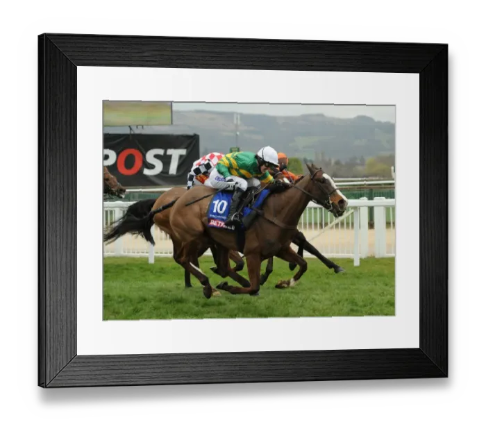 Framed Print : Cheltenham Festival: Day Four Framed Print : Cheltenham Festival: Day Four