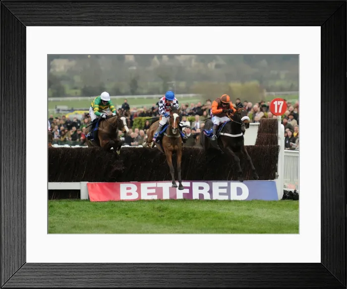 Framed Print : Cheltenham Festival: Day Four Framed Print : Cheltenham Festival: Day Four