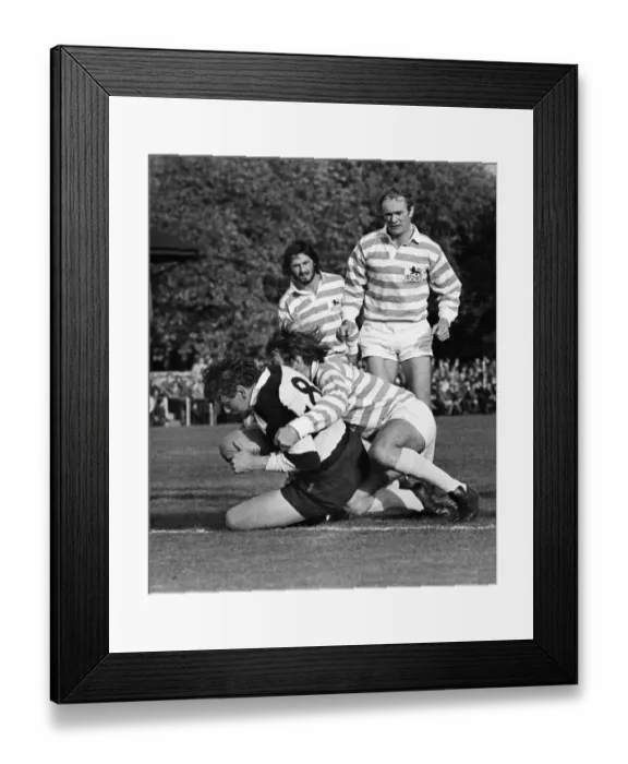 Framed Print : Peter Brown scores for the Barbarians in 1972 Framed Print : Peter Brown scores for the Barbarians in 1972