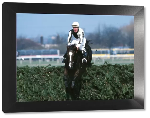 Ben Nevis clears the last on the way to winning the 1980 Grand National