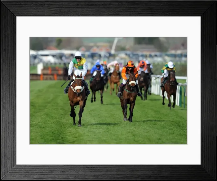 Framed Print : 2011 Grand National Framed Print : 2011 Grand National