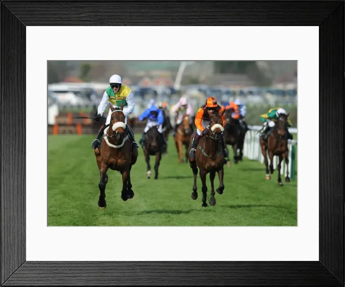 Framed Print : 2011 Grand National Framed Print : 2011 Grand National