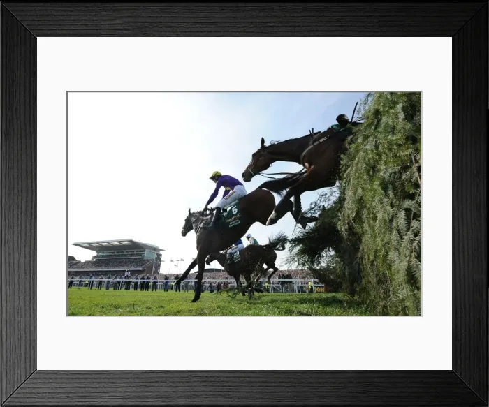 Framed Print : 2011 Grand National