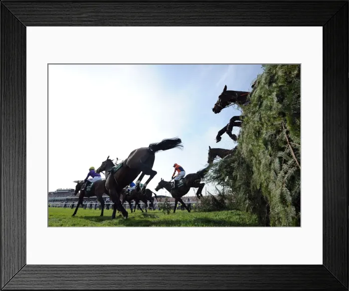 Framed Print : 2011 Grand National
